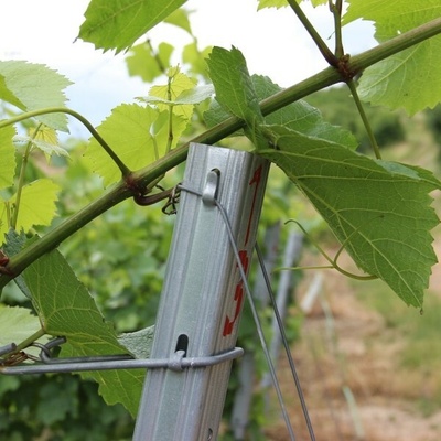Vinohradnícky stĺpik pozinkovaný 2200 mm | obdĺžnikový profil 50 × 30 mm | radový