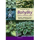 Bohyšky