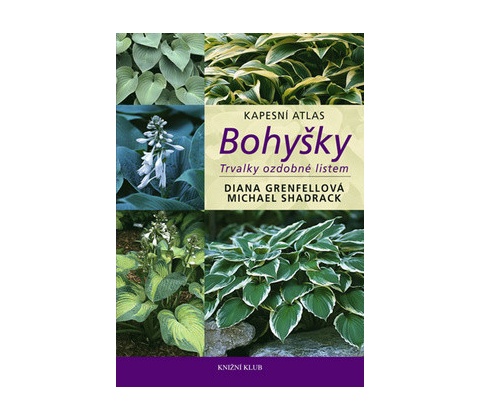 Bohyšky