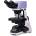 MAGUS Bio DH240 (83478)