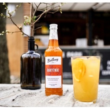 Báťkovy Bylinkové Sirupy Rakytník 0,5 l