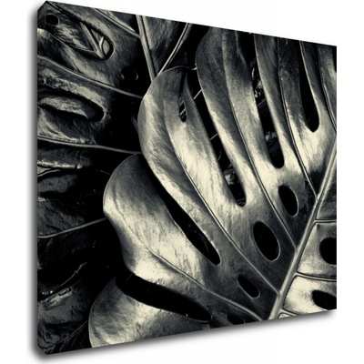 Impresi Obraz Detail listov - 90 x 70 cm