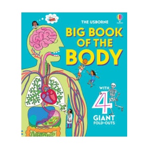Big Book of The Body | Peter Allen (ISBN: 9781836040224)