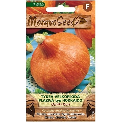 MORAVOSEED CZ Tykev velkoplodá plazivá UCHIKU KURI, typ Hokkaido