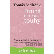 Druhá derivace touhy - Pravdoláskaři a Bohémové - Tomáš Sedláček