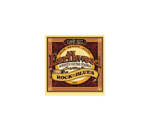 Ernie Ball 2008