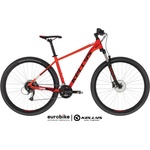 Kellys Spider 50 2024
