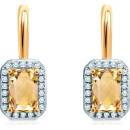 Savicki SAVE62904 Y P