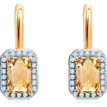 Savicki SAVE62904 Y P