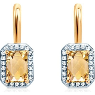 Savicki SAVE62904 Y P