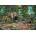 Educa - Puzzle African Jungle - 2 000 piese