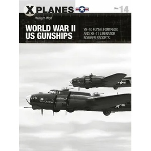 World War II US Gunships | Adam Tooby (ISBN: 9781472844699)