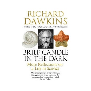 Brief Candle in the Dark