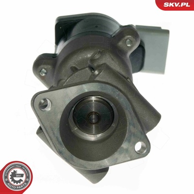 AGR-Ventil ESEN SKV 14SKV089