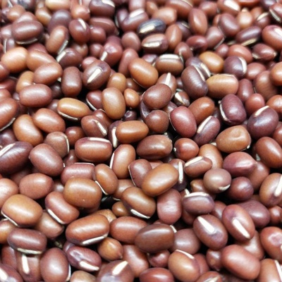 Microgreens Fazole Adzuki na microgreens 100 g