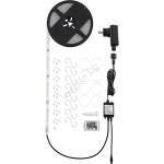 EGLO 32859 - RGB димируема COB LED лента 5m LED/12W/230V 4000K IP44 +дистанционно управление (EG32859)