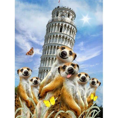 IMPOL TRADE 12855 V4A Vliesové fototapety surikaty a Šikmá věž v Pise rozměr 184 cm x 254 cm