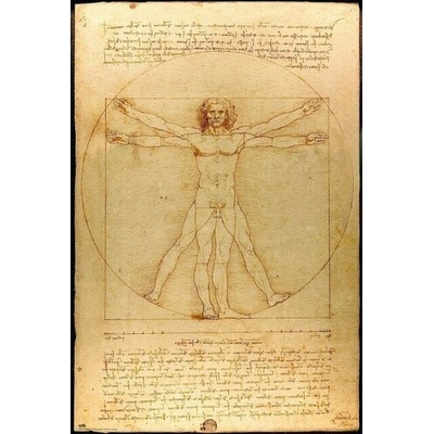 Plagát, Obraz - Vitruviánsky človek, Leonardo Da Vinci, 61 × 91.5 cm