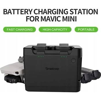 i-Tec C31DUALDPDOCKPD100W