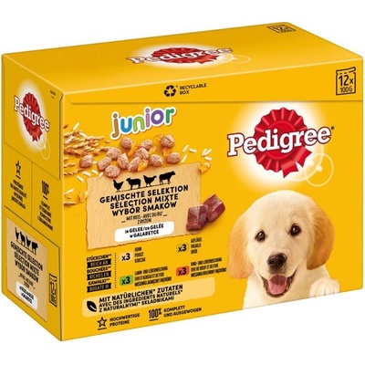 Pedigree Junior smíšený výběr s rýží v želé 48 x 100 g