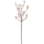 Bloomingville Изкуствена клонка (височина 125 cm) Magnolia - Bloomingville (82072844)