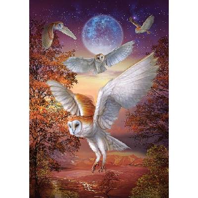 Art Puzzle - Puzzle Moonlight Owls - 1 000 piese