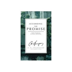 According to Promise | C. H. Spurgeon (ISBN: 9781857922752)