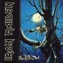 Hudba Iron Maiden - FEAR OF THE DARK CD