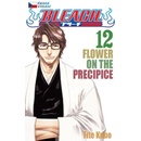 Bleach 12