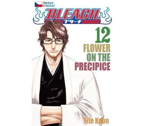 Bleach 12