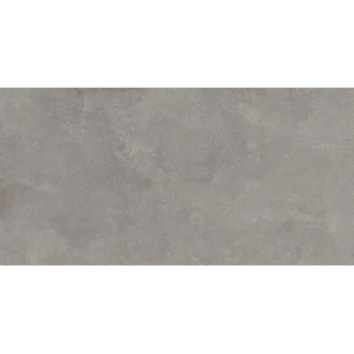 EBS Cosmopolita 60 x 120 cm gray matná 1,44m²