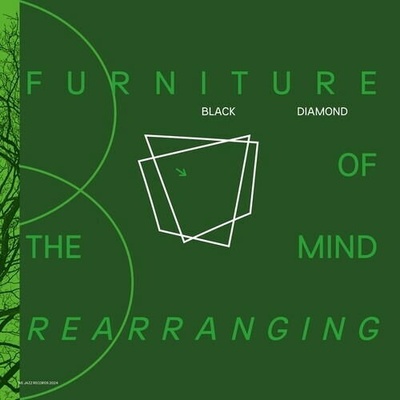 Malokarpatan - FURNITURE OF THE MIND REARRANGING Vinyl