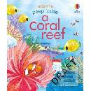 Peep inside a Coral Reef