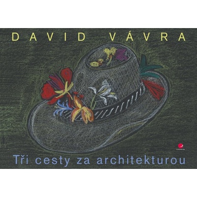 Tři cesty za architekturou - Vávra David