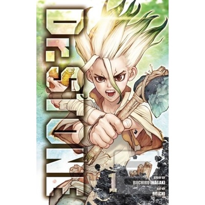 Dr. Stone, Vol. 1 Inagaki RiichiroPaperback