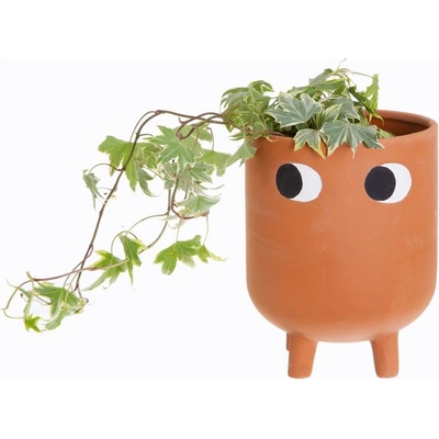 Sass & Belle Теракотен съд , ø 12, 1 cm Leggy - Sass & Belle (TEN022)