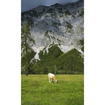 Rasch 364637 Vliesová fototapeta na zeď Magic Walls, rozměry 1,59 x 2,65 m