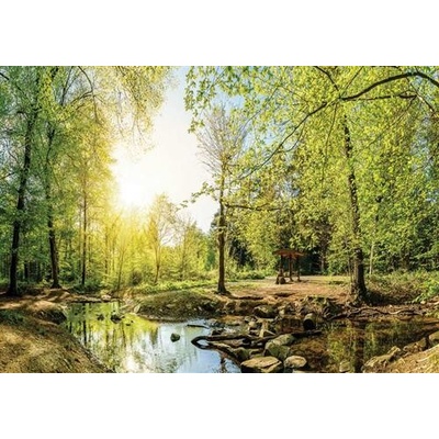 IMPOL TRADE 10508 Vliesová fototapeta 410508 rozměr 208 cm x 146 cm