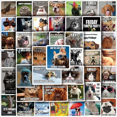 Memes samolepky (50 ks)