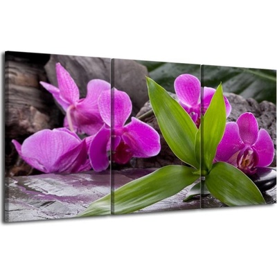 Fialová orchidej plátno 3 75x40