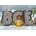 B.C.E.