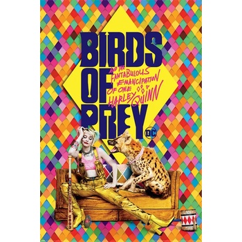 Image 1 of Pyramid posters плакат Birds of pray - DC COMICS - PYRAMID POSTERS - PP34591