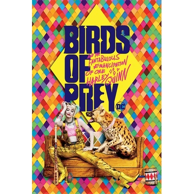 Pyramid posters плакат Birds of pray - DC COMICS - PYRAMID POSTERS - PP34591