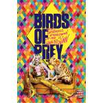Pyramid posters плакат Birds of pray - DC COMICS - PYRAMID POSTERS - PP34591