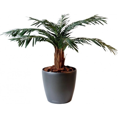 Umělá palma Cycas - přírodní kmen, 80cm