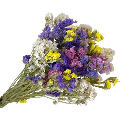 Sušená limonka - Statice Limonium 100g - farebný mix