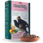 Padovan Gran Pate Fruits - храна за насекомоядни птици, 1 кг