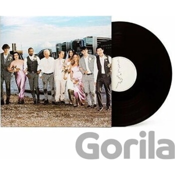 RM (BTS) - Right Place, Wrong Person LP