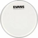 Evans B10UV1