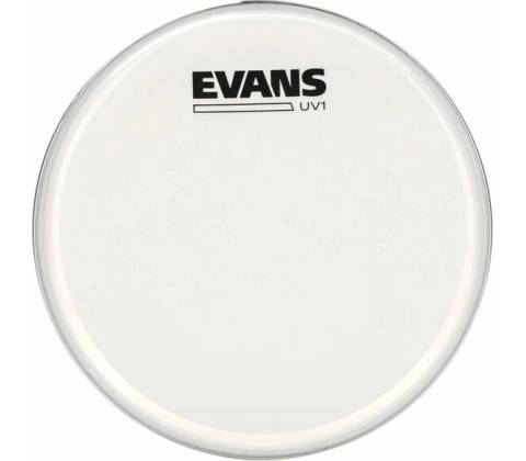 Evans B10UV1